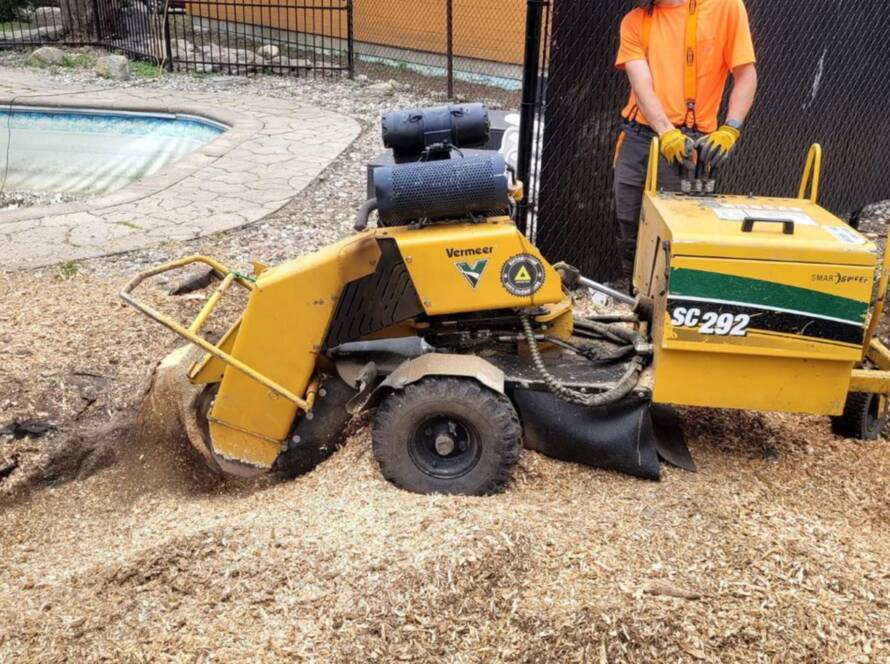 Service arboriculture professionnel