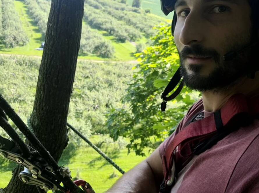 Service d'élagage a blainville