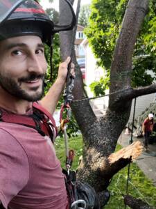Arboriculteur professionnel